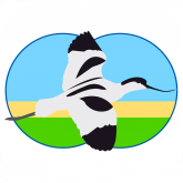 Vogels van Nederland en België