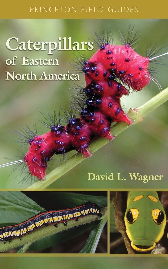 caterpillars-of-eastern-north-america-book-cover-princeton-university-press Book cover of ‘Caterpillars of Eastern North America’ by Princeton University Press, which was transformed into an AI-supported identification key app by Sunbird Images.
