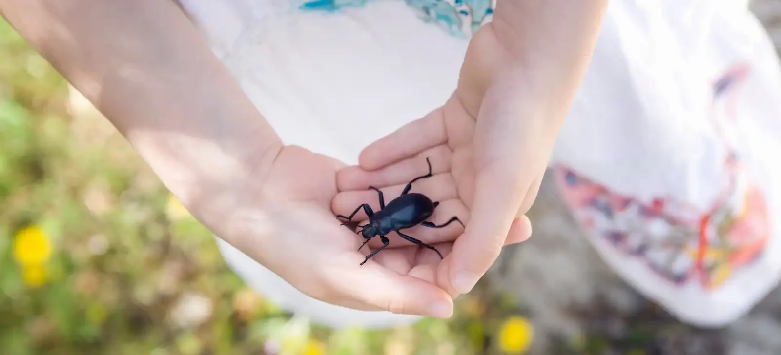 Child discovering a beetle in nature, symbolizing family nature experiences and outdoor learning.