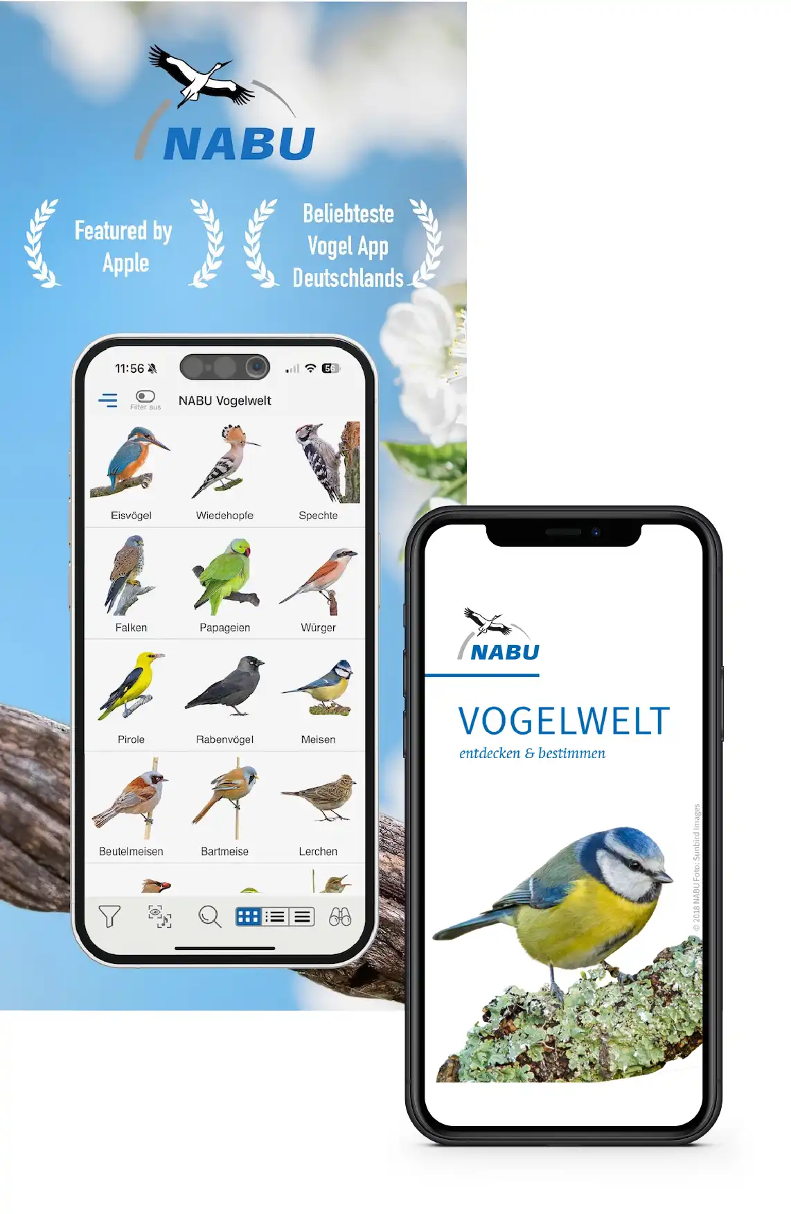 Two smartphones displaying the NABU Vogelwelt Citizen Science App developed by Sunbird Images – one showing the bird species overview and the other the splash screen with a Blue Tit, representing Germany’s most popular bird identification app.