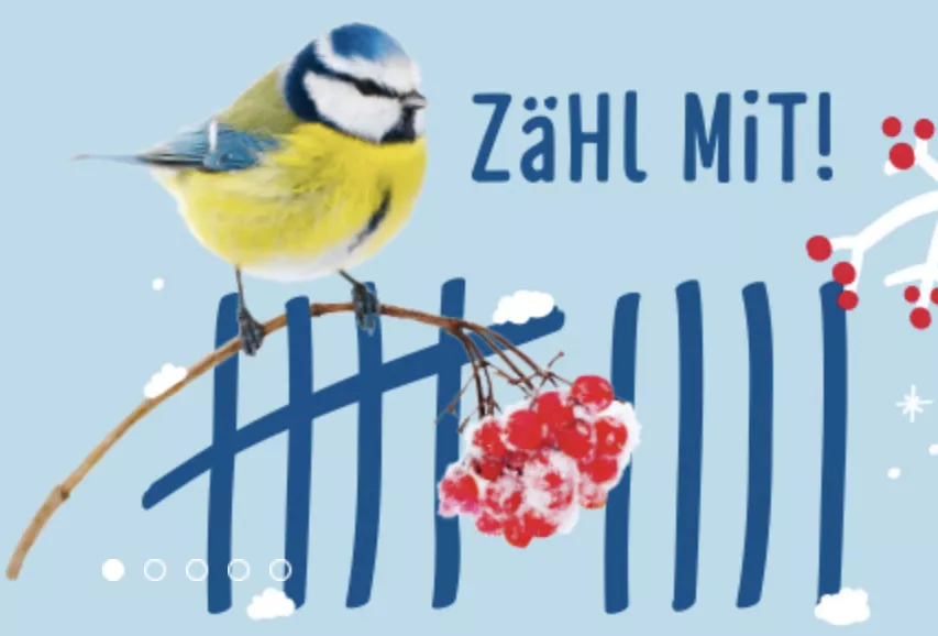 “Zähl mit!” promotional image from NABU’s “Stunde der Wintervögel” Citizen Science campaign, featuring a blackbird and encouraging people across Germany to take part in the nationwide bird count.