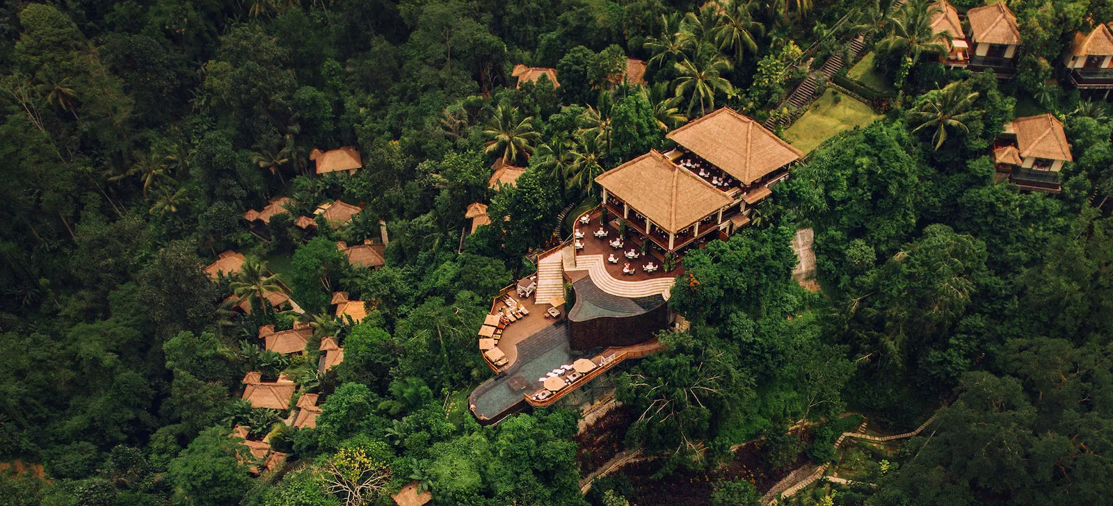 Eco-lodge in the rainforest symbolising the Nature App Your Lodge project by Sunbird Images.