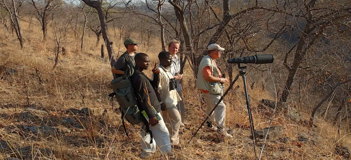 Field team conducting a biodiversity survey in Malawi to document local species.
