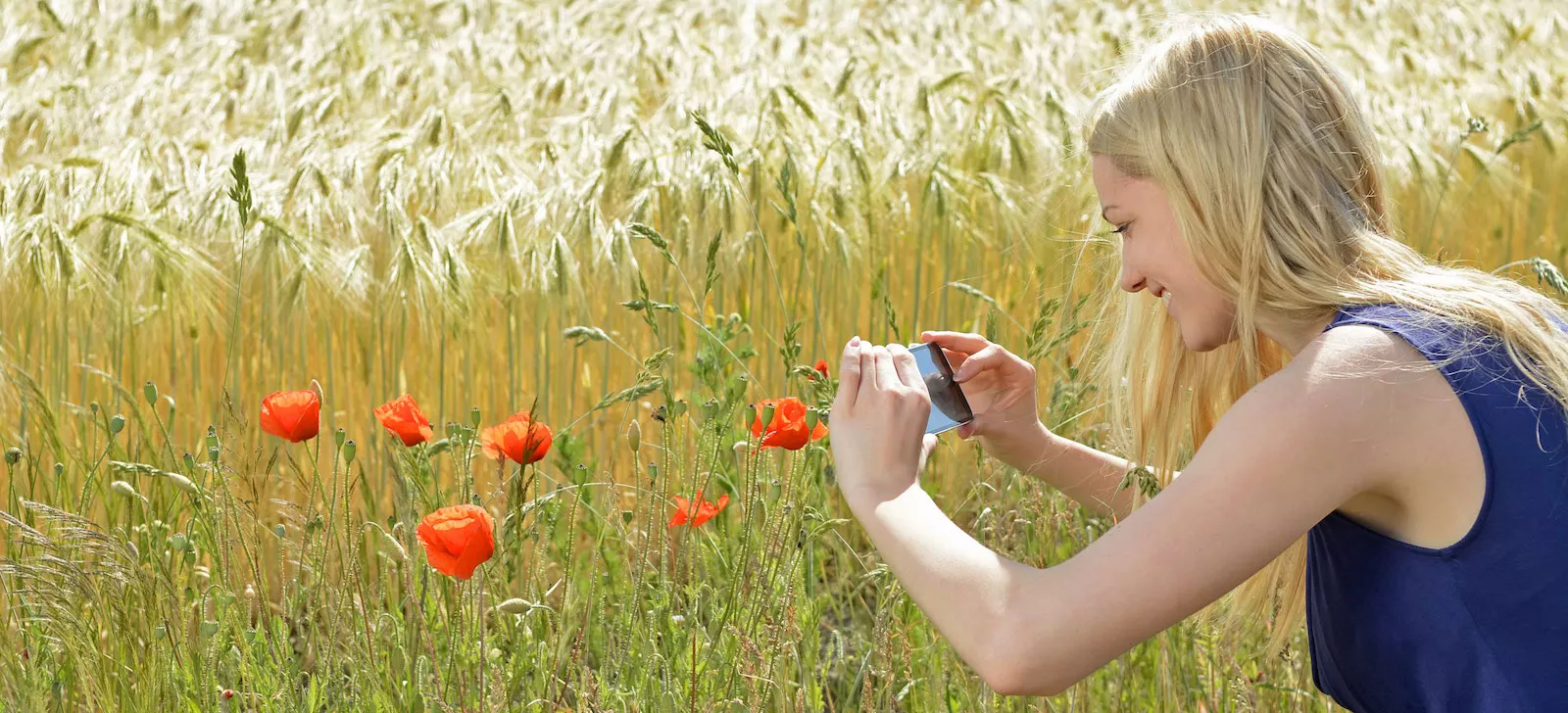 Symbolic nature observation header image for the Citizen Science project by Sunbird Images.