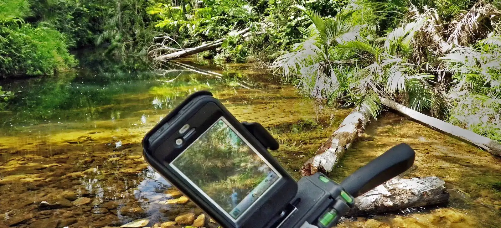 Field device recording habitat data at a rainforest stream during wildlife monitoring in Australia.