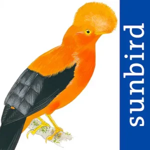 All Birds Peru App Icon