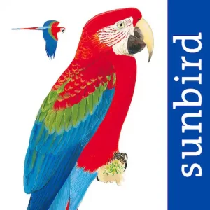 All Birds northern Brazil App icon