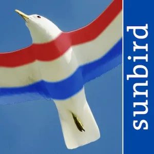 All Birds Netherlands App Icon