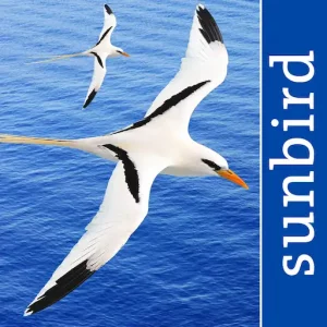 All Birds Puerto Rico App Icon