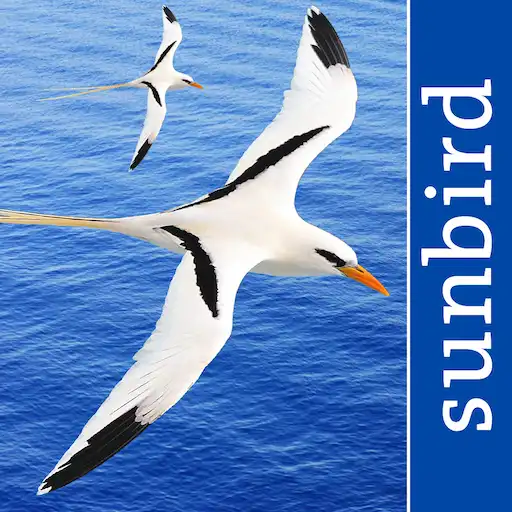 All Birds Puerto Rico east to Antigua