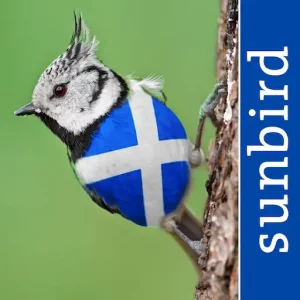 All Birds Scotland App Icon
