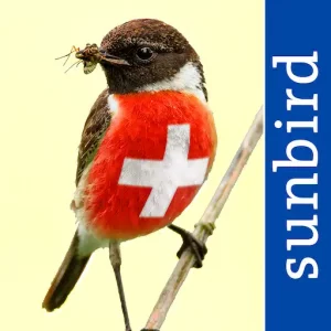 All Birds Switzerland App Icon