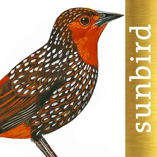 All Birds Northern South America