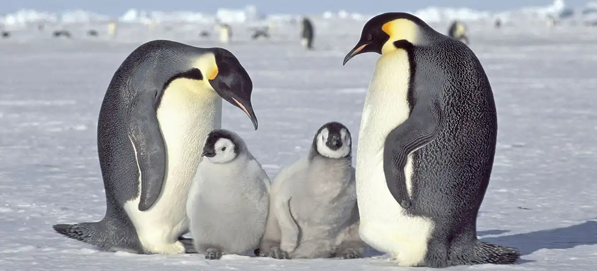 family-experience-category Modern university campus in Aachen at night, symbolizing digital learning and custom university apps by Sunbird Images