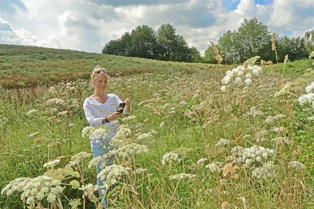 Researcher conducting a plant survey using a Sunbird Images app to record species in the field.