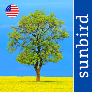 Tree Id USA App Icon