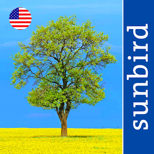 Tree Id USA App Icon