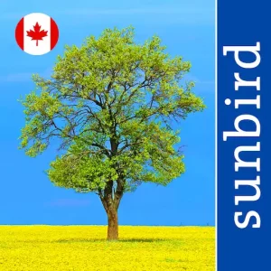 Tree Id Canada App Icon