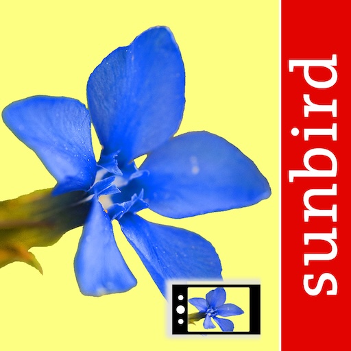 App Icon of the App Alpenblumen Id