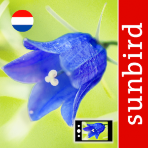 App Icon Bloemen Id Nederland