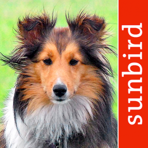 App Icon of Dog Id App