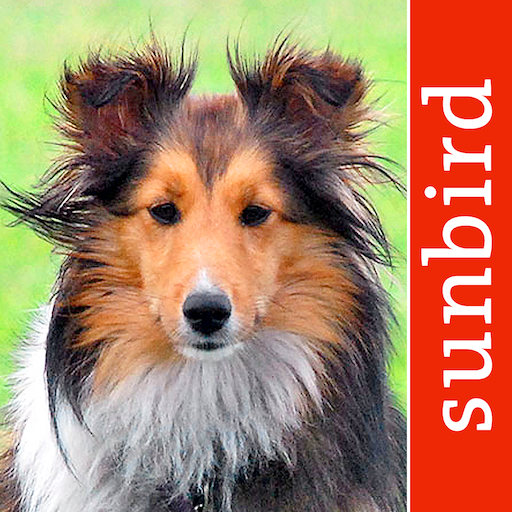 App Icon of Dog Id App