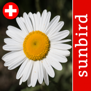 Blütenpflanzen Schweiz App Icon