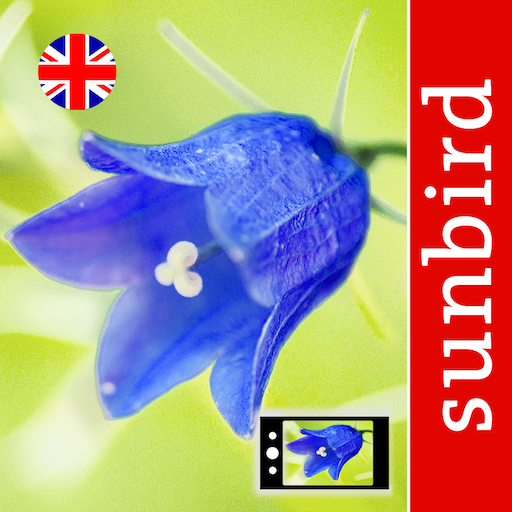 App icon of the App Wildflower Id Uk