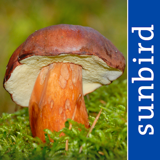 App Icon of the App Mushroom Guide UK