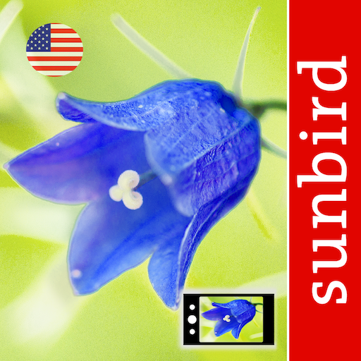 oisApp App Icon of the App Wild Flower Id Usa of Sunbird Images